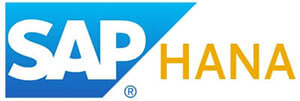 SAP_HANA-300