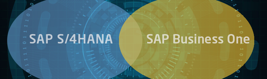 Schnittstelle SAP S/4 HANA und SAP Business One