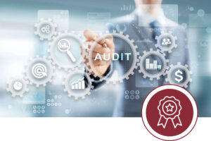 Audit_Kombi_Vorlage-scaled (1)